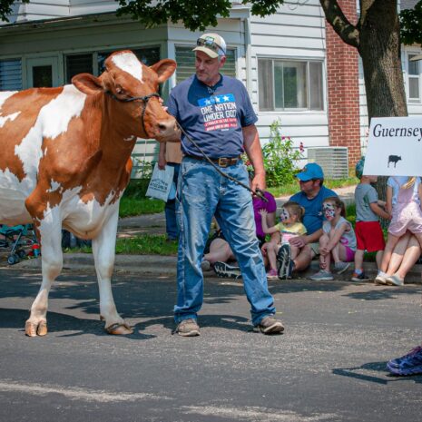Dairy Days