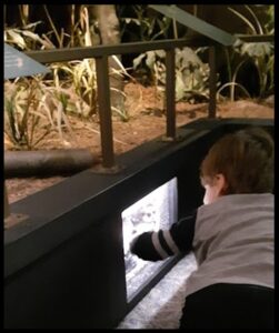 Morning at the Museum_Ewan